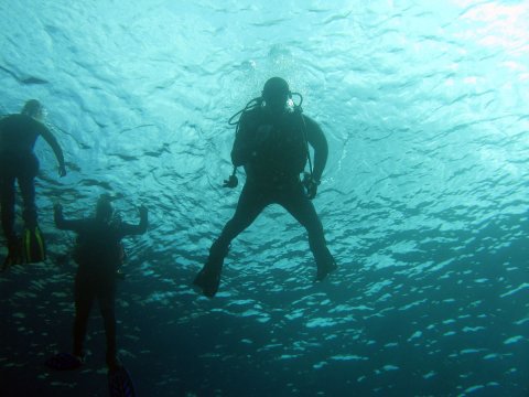open-water-course-athens-scuba-diving-center-καταδυσεις-greece.jpg5