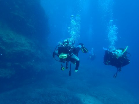 scuba-diving-center-karystos-discover-καταδυσεις-greece.jpg7