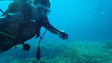 scuba-diving-center-karystos-discover-καταδυσεις-greece.jpg3