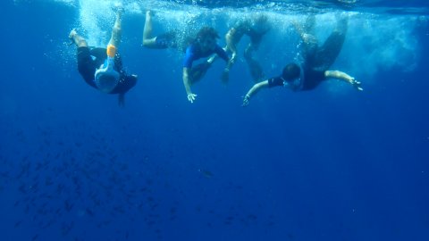 snorkeling-boat-trip-karystos-evia-greece-petali.jpg8
