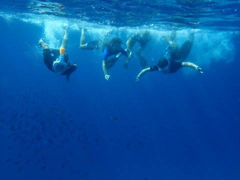 snorkeling-boat-trip-karystos-evia-greece-petali.jpg8