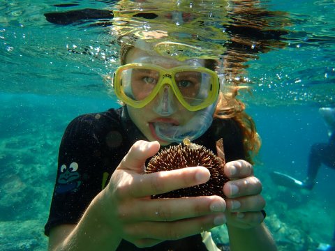 snorkeling-boat-trip-karystos-evia-greece-petali.jpg7