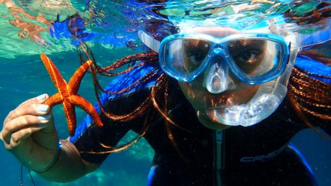 snorkeling-boat-trip-karystos-evia-greece-petali.jpg2