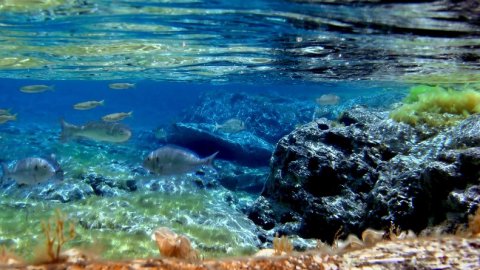 serifos-discover-scuba-diving-καταδυσεις-greece-center.jpg12