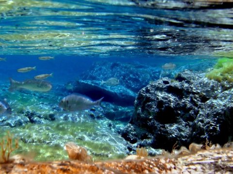 serifos-discover-scuba-diving-καταδυσεις-greece-center.jpg12