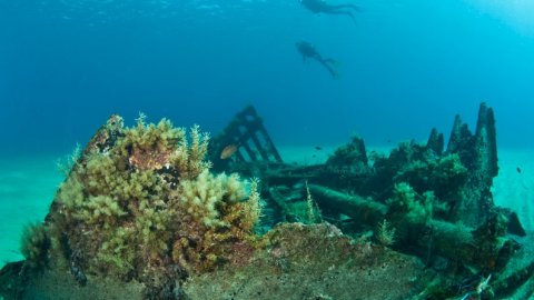 serifos-discover-scuba-diving-καταδυσεις-greece-center.jpg7