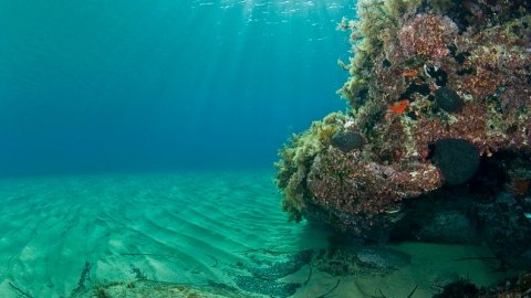 serifos-discover-scuba-diving-καταδυσεις-greece-center.jpg6