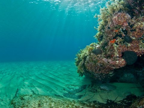 serifos-discover-scuba-diving-καταδυσεις-greece-center.jpg6