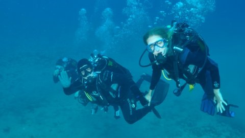 Discover Scuba Diving in Serifos