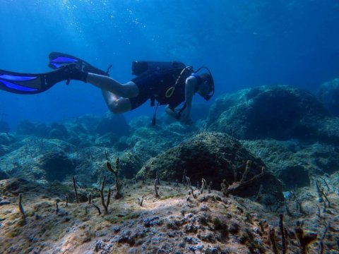 ithaka-scuba-diving-discover-καταδυσεις-greece-ιθακη-center.jpg8