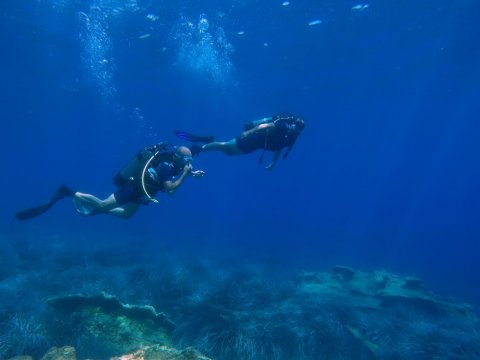 ithaka-scuba-diving-discover-καταδυσεις-greece-ιθακη-center.jpg6
