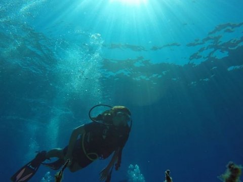 ithaka-scuba-diving-discover-καταδυσεις-greece-ιθακη-center.jpg2