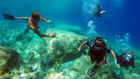 Discover Scuba Diving in Ithaca
