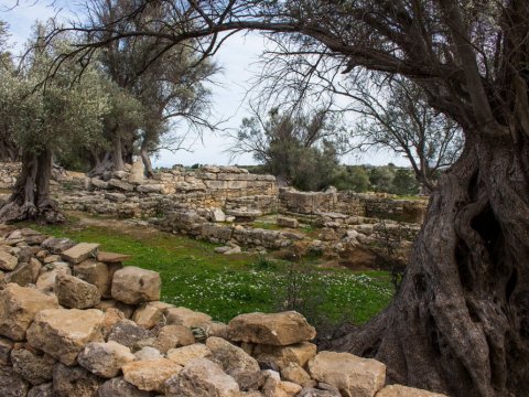 Hiking-crete-Arkadi-Ancient-Eleftherna-Margarites-Rethymno-Creta-greece-πεζοπορια (5)