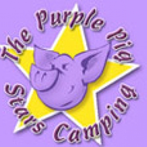 The Purple Pig Stars Camping