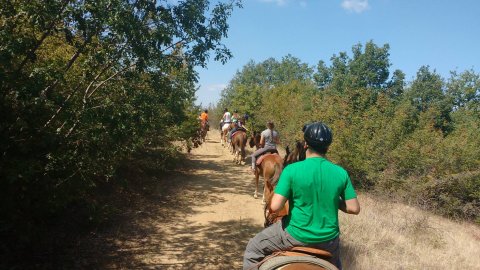 Horse Riding Lefkohori Thessaloniki