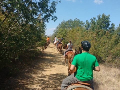 horse-riding-thessaloniki-greece-ziogas-ιππασια-αλογα-λευκοχωρι.jpg11
