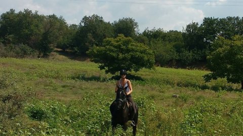 horse-riding-thessaloniki-greece-ziogas-ιππασια-αλογα-λευκοχωρι.jpg7
