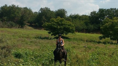horse-riding-thessaloniki-greece-ziogas-ιππασια-αλογα-λευκοχωρι.jpg7