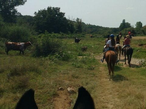 horse-riding-thessaloniki-greece-ziogas-ιππασια-αλογα-λευκοχωρι.jpg5