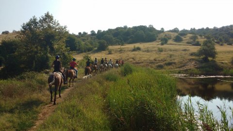 horse-riding-thessaloniki-greece-ziogas-ιππασια-αλογα-λευκοχωρι.jpg4