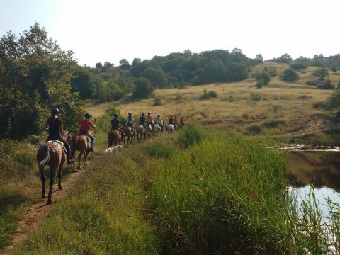 horse-riding-thessaloniki-greece-ziogas-ιππασια-αλογα-λευκοχωρι.jpg4