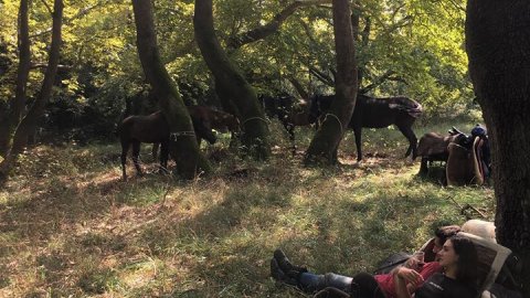 horse-riding-thessaloniki-greece-ziogas-ιππασια-αλογα-λευκοχωρι.jpg3