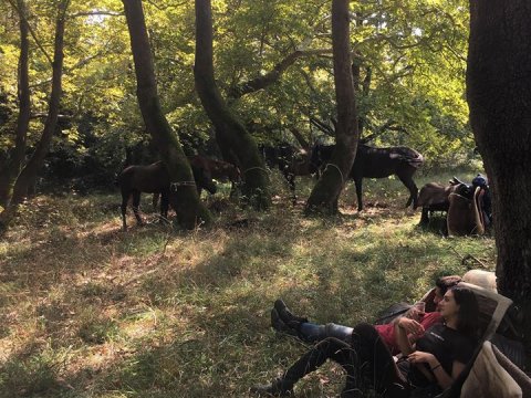 horse-riding-thessaloniki-greece-ziogas-ιππασια-αλογα-λευκοχωρι.jpg3