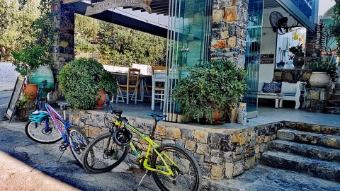 mountain-bike-tour-poros-cycling-greece-ποδηλατα-ποδηλασια-mtb.jpg6