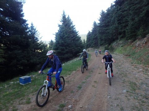 mountain-bike-cycling-mainalo-vytina-greece-ποσηλατα-ποδηλασια.jpg3