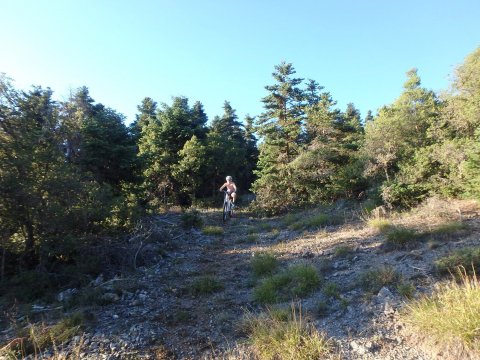 mountain-bike-cycling-mainalo-vytina-greece-ποσηλατα-ποδηλασια.jpg7