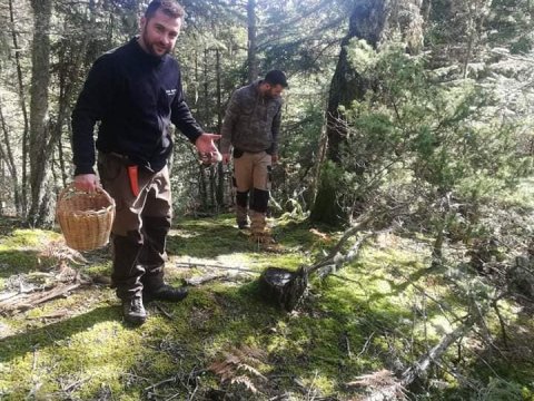 Hiking-Mushroom-Hunting-Mainalo-greece-vytina-μανιταρια-πεζοπορια.jpg2