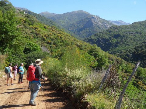 hiking-evia-dimosaris-gorge-canyon-greece-euboea-πεζοπορια-φαραγγι.jpg12