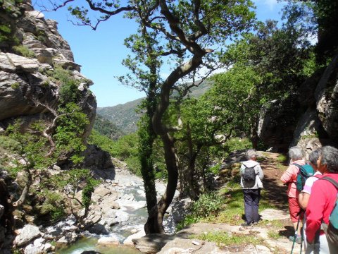 hiking-evia-dimosaris-gorge-canyon-greece-euboea-πεζοπορια-φαραγγι.jpg3