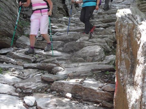 hiking-evia-dimosaris-gorge-canyon-greece-euboea-πεζοπορια-φαραγγι.jpg10