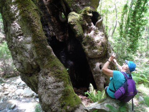 hiking-evia-dimosaris-gorge-canyon-greece-euboea-πεζοπορια-φαραγγι.jpg9