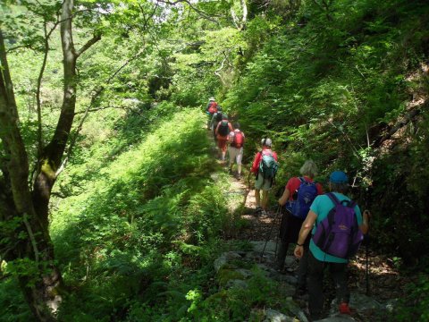 hiking-evia-dimosaris-gorge-canyon-greece-euboea-πεζοπορια-φαραγγι.jpg7