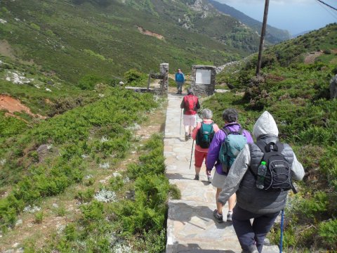 hiking-evia-dimosaris-gorge-canyon-greece-euboea-πεζοπορια-φαραγγι.jpg2