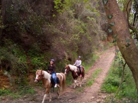horse-riding-chania-creta-greece-ιππασια-deres-αλογα-βολτα.jpg10