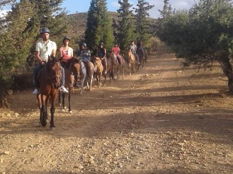 horse-riding-chania-creta-greece-ιππασια-deres-αλογα-βολτα.jpg9