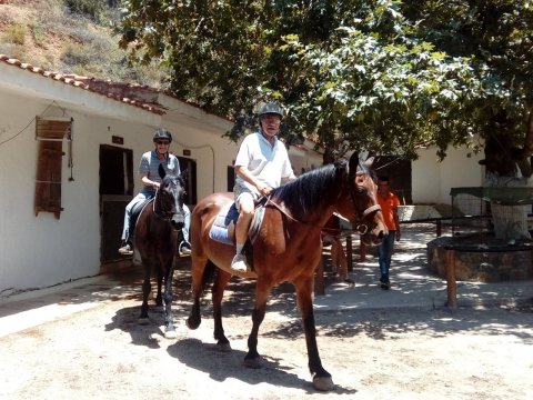 horse-riding-chania-creta-greece-ιππασια-deres-αλογα-βολτα.jpg8