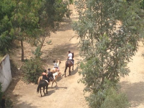 horse-riding-chania-creta-greece-ιππασια-deres-αλογα-βολτα.jpg6