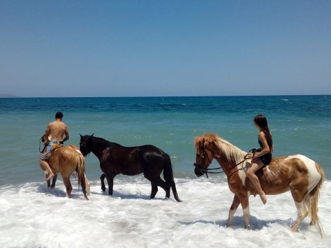horse-riding-chania-creta-greece-ιππασια-deres-αλογα-βολτα.jpg2