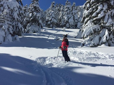 ski-snowboard-lessons-kalavryta-helmos-greece-μαθηματα.jpg5