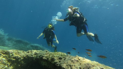  Discover Scuba Diving in Kefalonia
