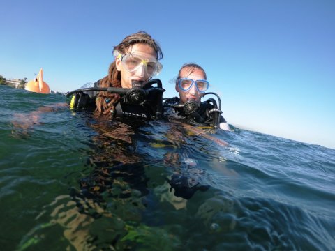scuba-diving-evia-aegean-seals-center-greece