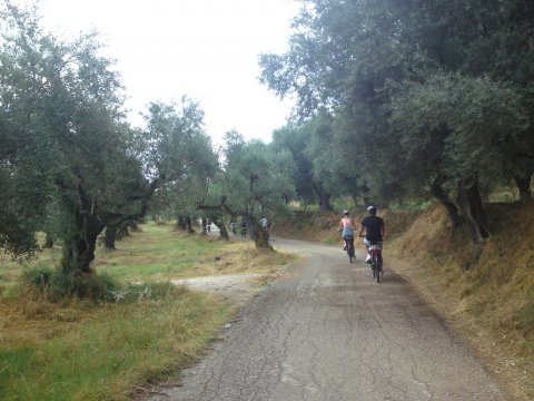 mountain-bike-zakynthos-greece-ποδηλατα-mtb-cycling (1)