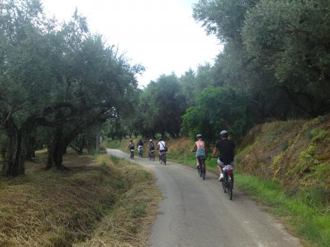 mountain-bike-zakynthos-greece-ποδηλατα-mtb-cycling (2)