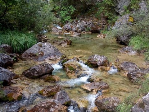 hiking-enipeas-gorge-olympus-canyon-greece-πεζοπορια-φαραγγι.jpg11