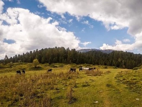 hiking-lake-aoos-metsovo-trekking-active-greece-πεζοπορια.jpg12